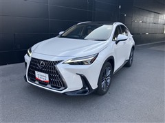 NX250 バージョンL