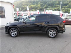 RAV4 X