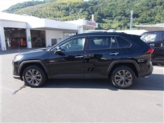 RAV4 G