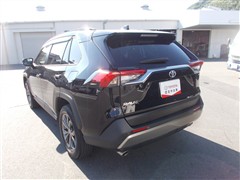 RAV4 G