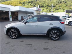 CX-3 15S VIVID MONOT