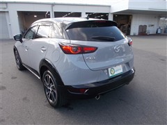 CX-3 15S VIVID MONOT