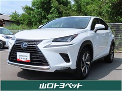 NX300h Iパッケージ