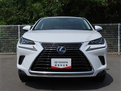 NX300h Iパッケージ