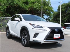 NX300h Iパッケージ