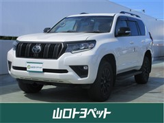 トヨタ ランクル プラドTX LマットBLC