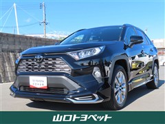 RAV4 G Zパッケージ