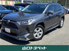 RAV4 X
