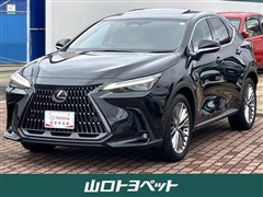 NX250 バージョンL