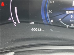 NX250 バージョンL