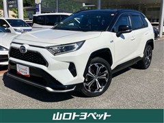 RAV4 PHV ブラックトーン