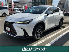 NX250 バージョンL