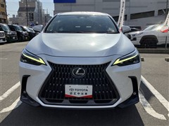 NX250 バージョンL