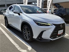 NX250 バージョンL