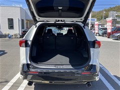 RAV4 PHV ブラックトーン