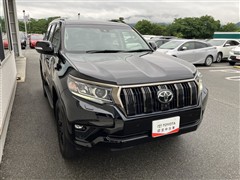 ランクルプラドTX L70thアニハ