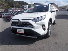 RAV4 G Zパッケージ