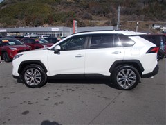 RAV4 G Zパッケージ