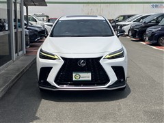 NX350h F SPORT