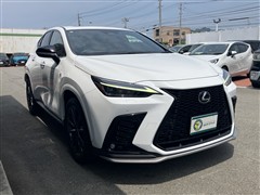 NX350h F SPORT