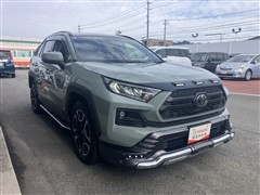 RAV4 アドベンチャー