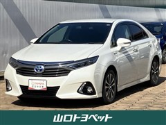 SAI S Cパッケージ