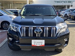 ランドクルーザープラド TZ-G