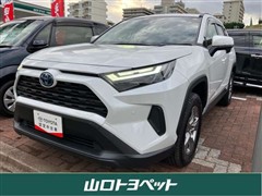 RAV4 HV X
