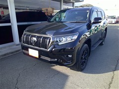 ランクルプラドTX L  BL ED