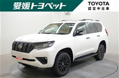 ランクル プラドTX LマットBLC