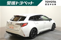カローラTG アクティブスポーツ