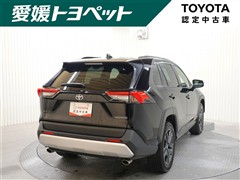 RAV4 アドベンチャー
