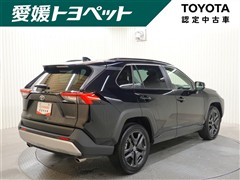 RAV4 アドベンチャー