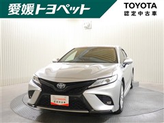 カムリ HEV WS