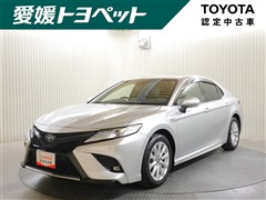 カムリ HEV WS