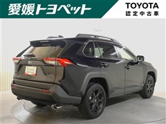 RAV4 アドベンチャー オフロート