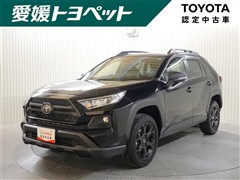 RAV4 アドベンチャー OR P2