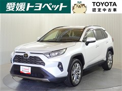 RAV4 G Zパッケージ