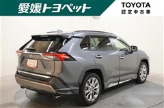 RAV4 G Zパッケージ