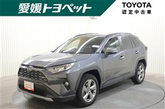 RAV4 G