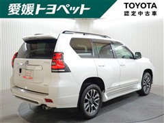 ランドクルーザープラド TZ-G