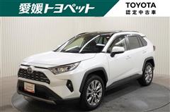 RAV4 G Zパッケージ