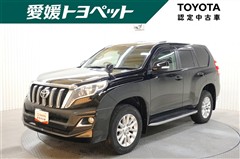 ランドクルーザープラド TZ-G