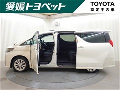 アルファード S タイプゴールド