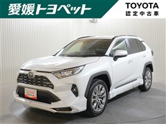 RAV4 G Zパッケージ