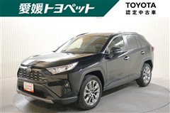 RAV4 G Zパッケージ