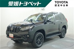 ランクル プラドTX LマットBLC