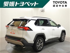 RAV4 G