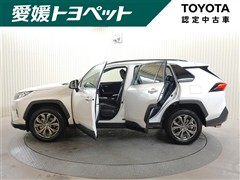 RAV4 G