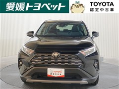 RAV4 G